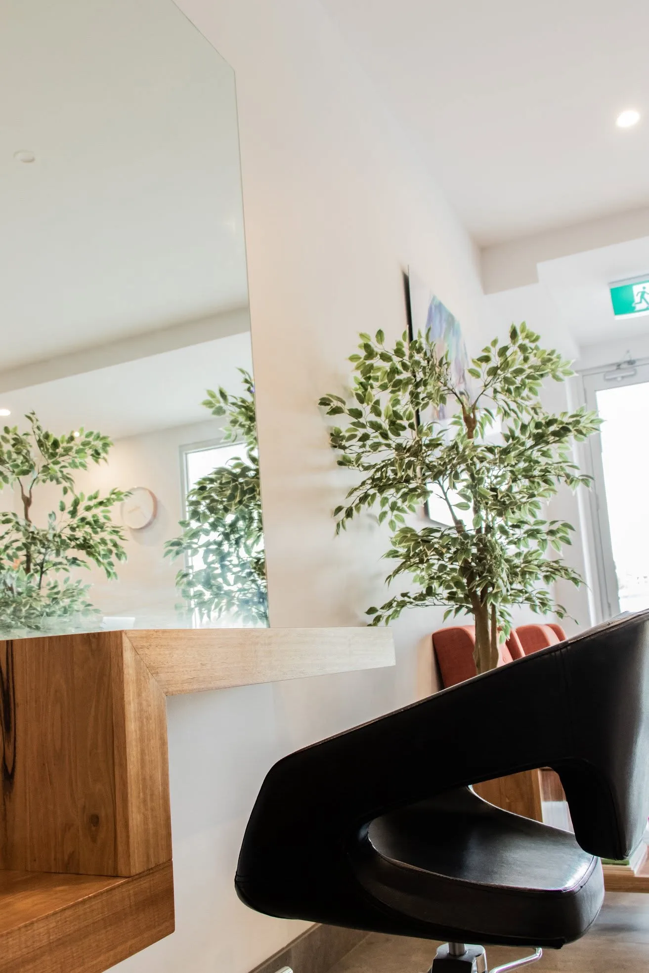 Inside the Curly Belle salon — styling chair, timber desk and ficus greenery in a calm, light room